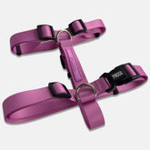 Peitoral para Cachorro H Aquarela Rosa Pink